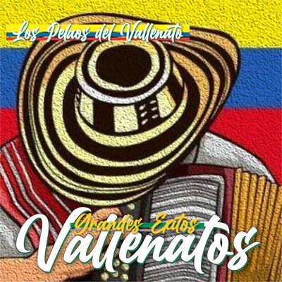 Muchacha Bonita By Los Pelaos Del Vallenato's cover
