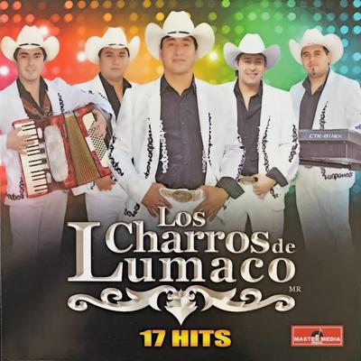 Camino De La Montaña / El Tucanazo / La Chona's cover