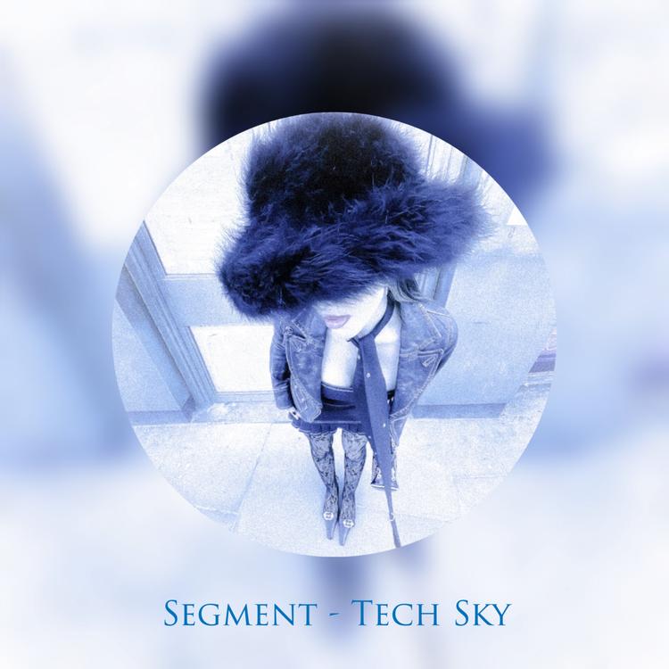 Segment13's avatar image