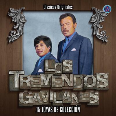 15 Joyas De Coleccion's cover