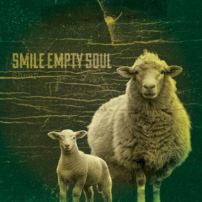 Plentiful World By Smile Empty Soul's cover