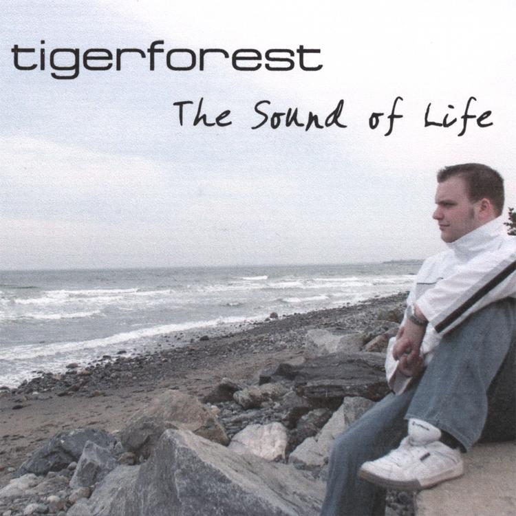 Tigerforest's avatar image