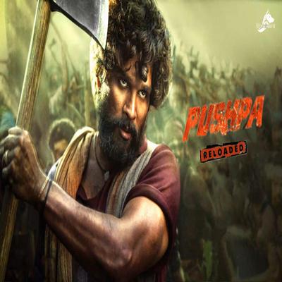 Pushpa Reloaded (Dialogue Mix)'s cover