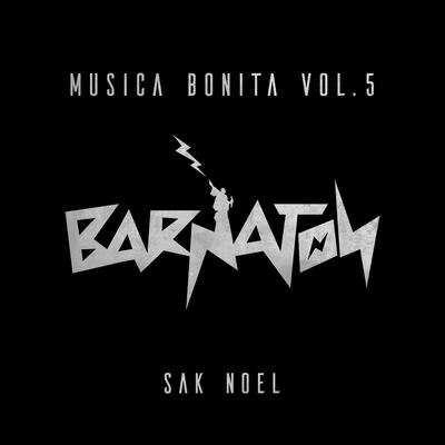 Musica Bonita, Vol. 5's cover