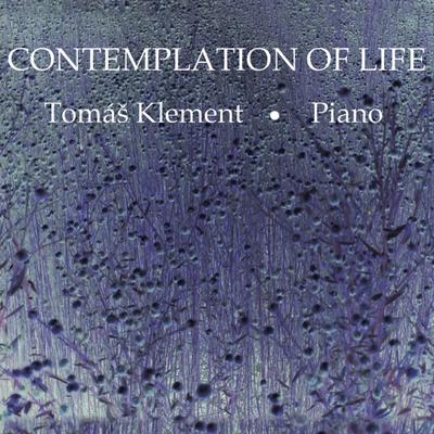 Contemplation of Life's cover
