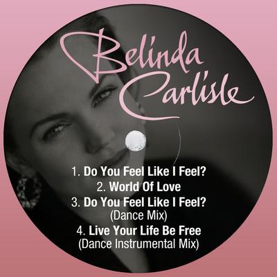 Do You Feel Like I Feel? By Belinda Carlisle's cover