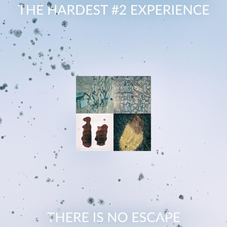 The Hardest #2 Experience's avatar image
