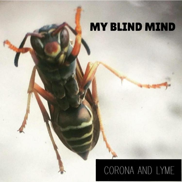 My Blind Mind's avatar image