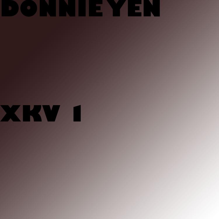 Donnie Yen's avatar image