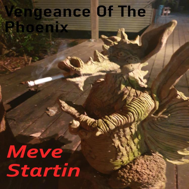 Vengeance of the Phoenix's avatar image