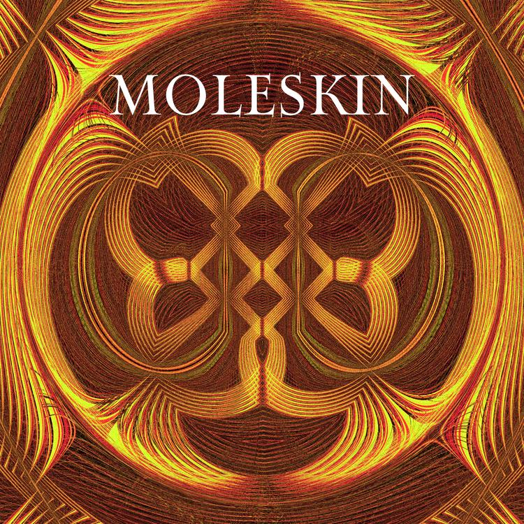 Moleskin's avatar image