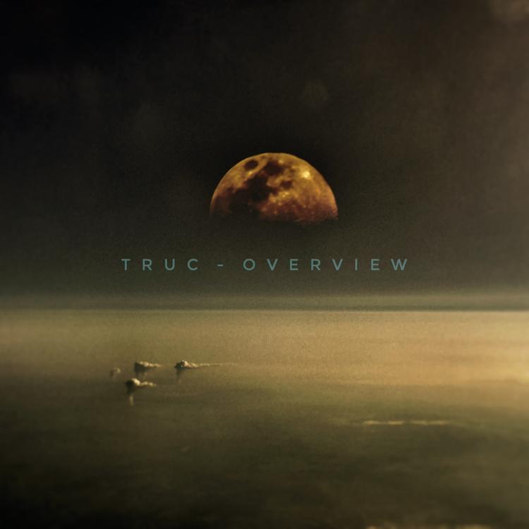 TRUC's avatar image
