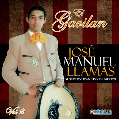 Jose Manuel Llamas's cover