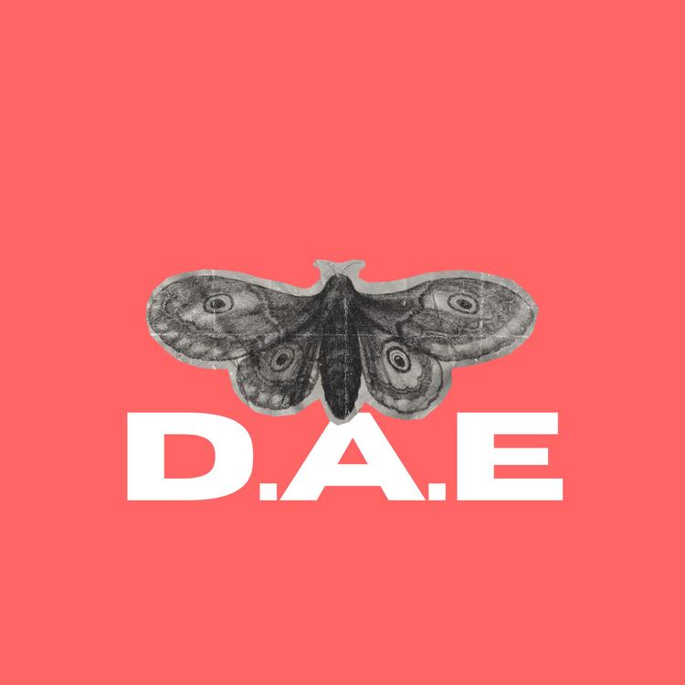 D.A.E.'s avatar image