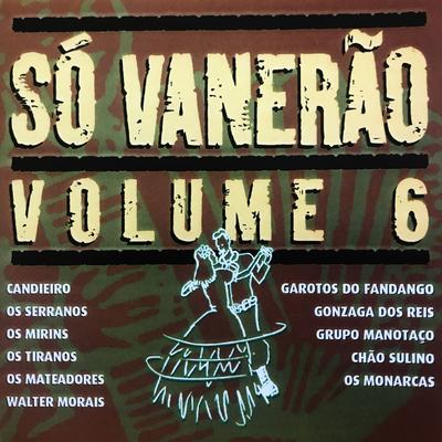 Só Vanerão, Vol. 6's cover