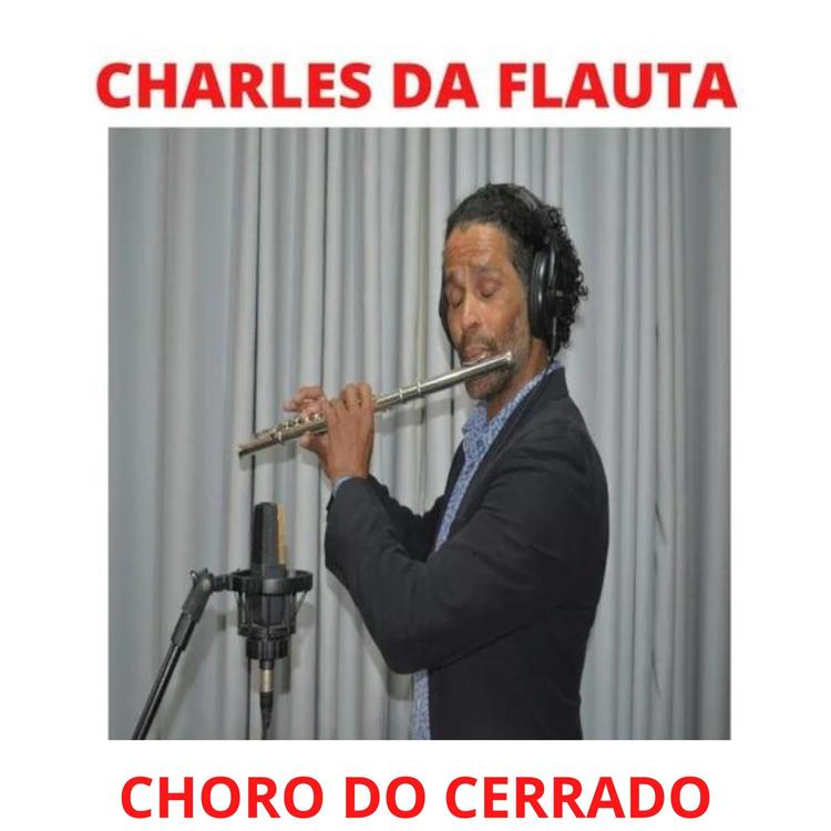 Charles da flauta's avatar image