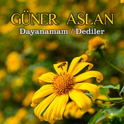 Güner Aslan's cover