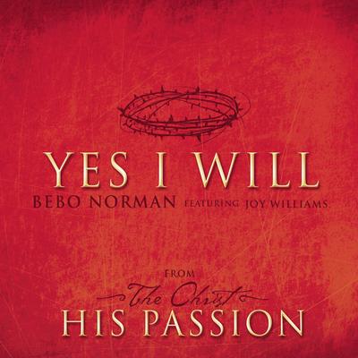 Yes I Will By Bebo Norman, Joy Williams's cover