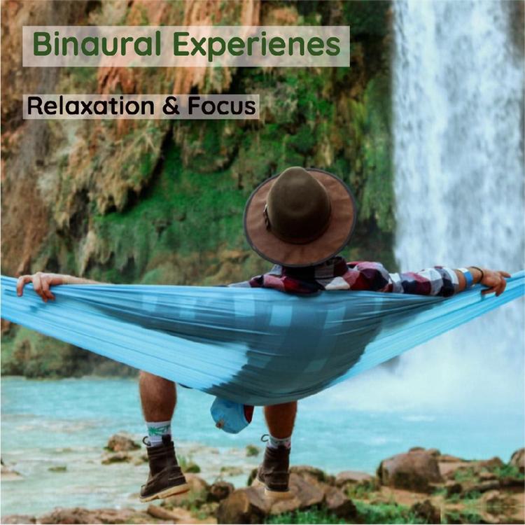 Binaural Experiences's avatar image