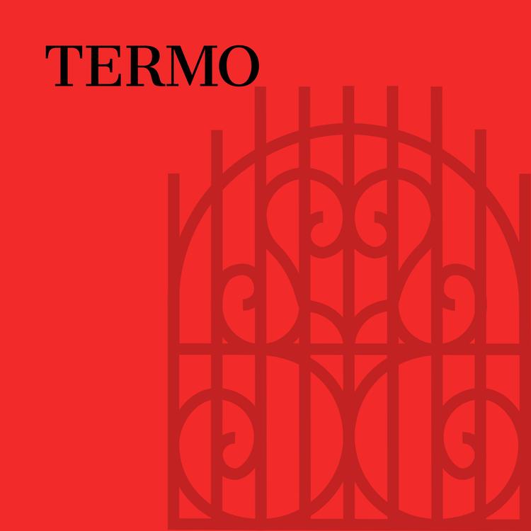 Termo's avatar image