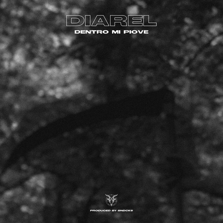 Diarel's avatar image