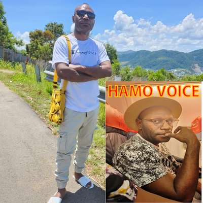 Hamo Voice's cover