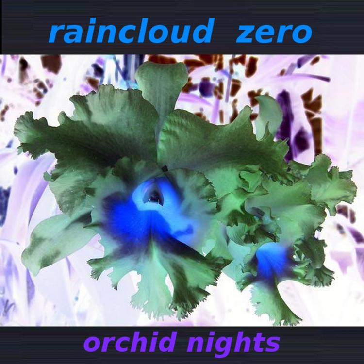 Raincloud Zero's avatar image