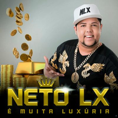 Vida Mais ou Menos By Neto LX's cover