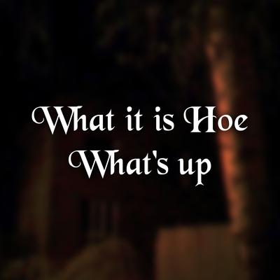 What it is Hoe What's up (Slowed Remix)'s cover