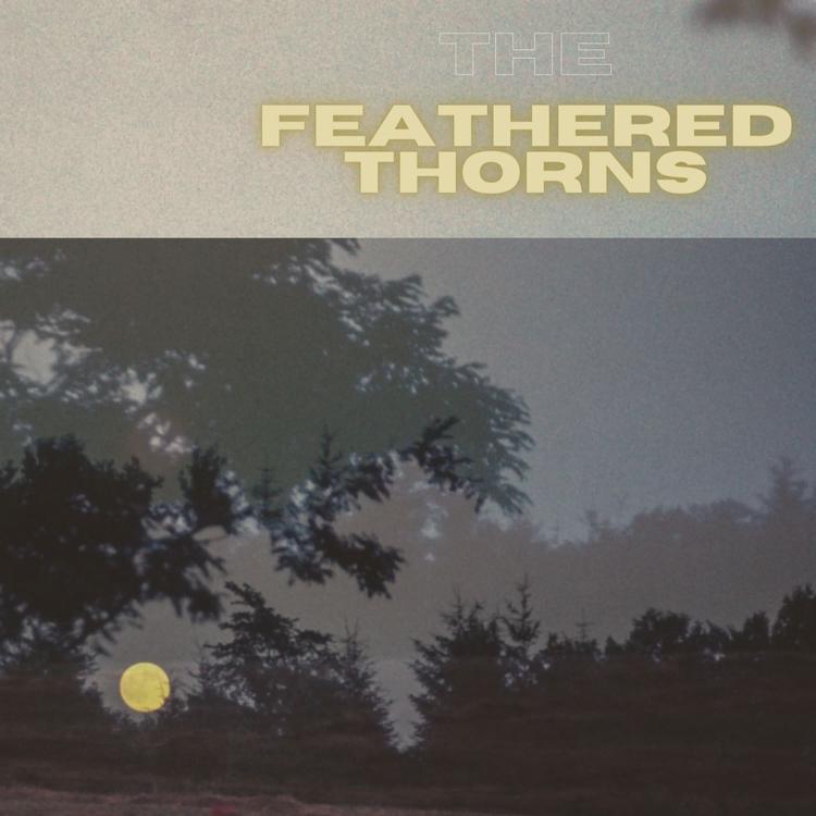 The Feathered Thorns's avatar image