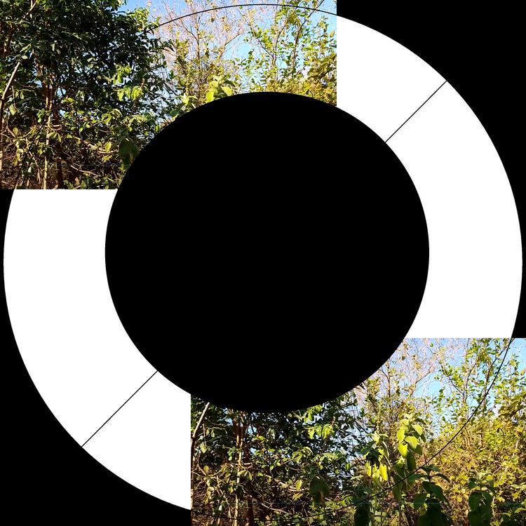 Loop Vinyl's avatar image