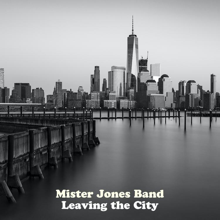 Mister Jones Band's avatar image