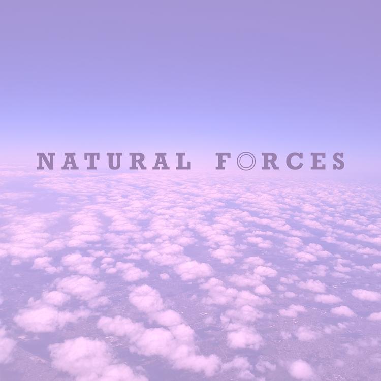 Natural Forces's avatar image