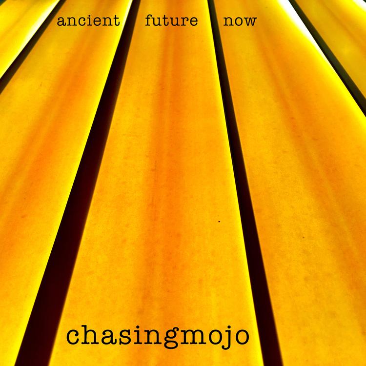 chasingmojo's avatar image
