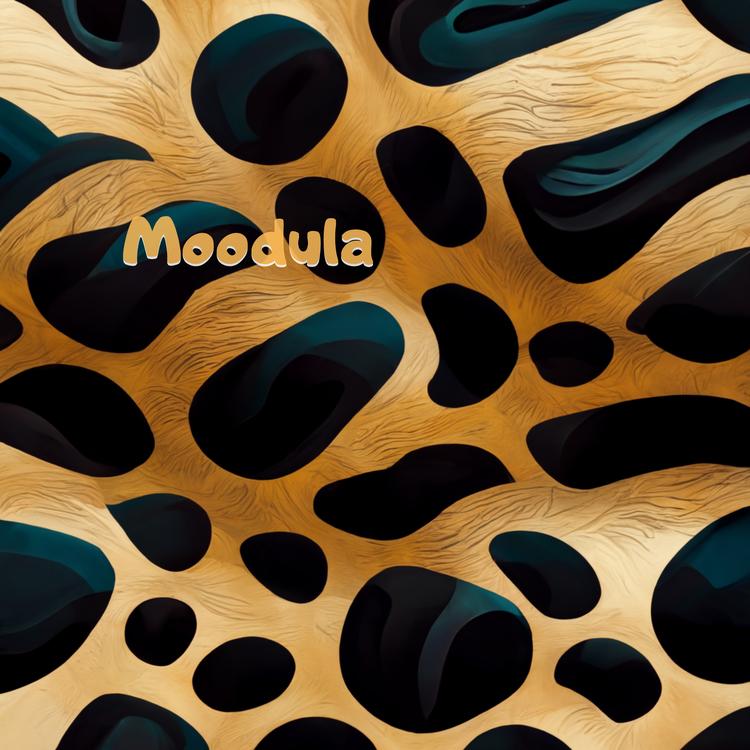 Moodula's avatar image