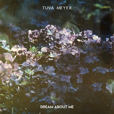 Dream about me By Tuva Meyer's cover