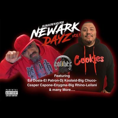 NEWARK DAYZ VOL 1's cover