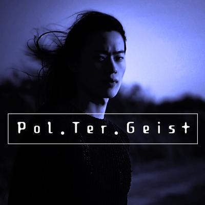 Pol.Ter.Geist's cover