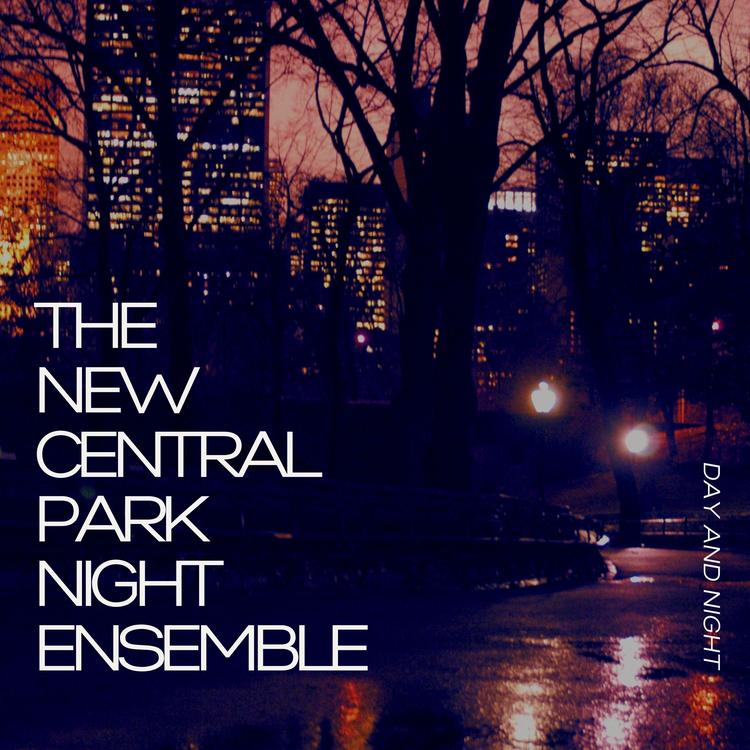 The New Central Park Night Ensemble's avatar image