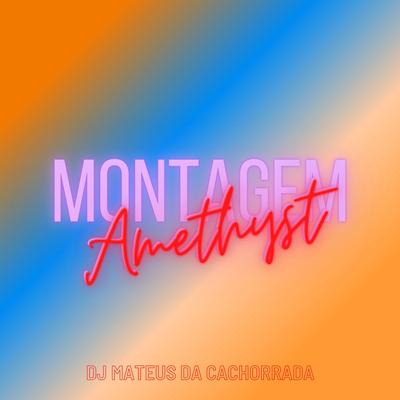 Montagem Amethyst 1.0 Me Liga Dps Que Eu To Ocupado x Vem Sarra Em Mim By Dj Mateus Da Cachorrada, Mc Yago, MC Leona's cover