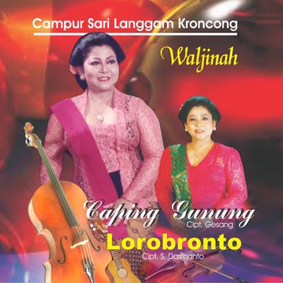 Campur Sari Langgam Kroncong's cover