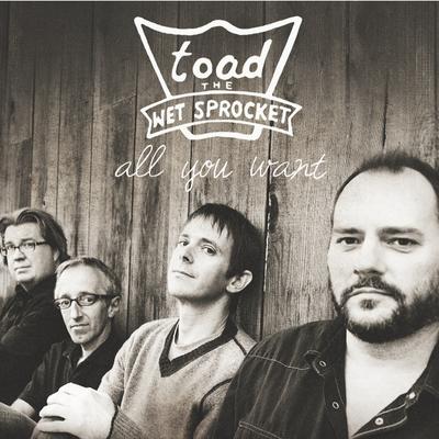 Walk on the Ocean By Toad the Wet Sprocket's cover