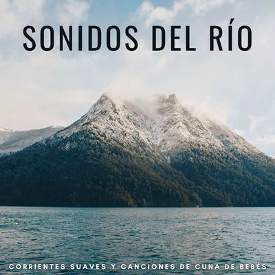 Tonos De Agua Del Bebé's cover