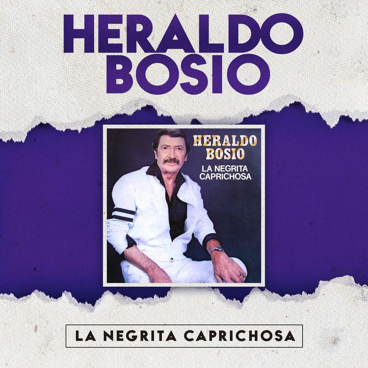 Heraldo Bosio's avatar image