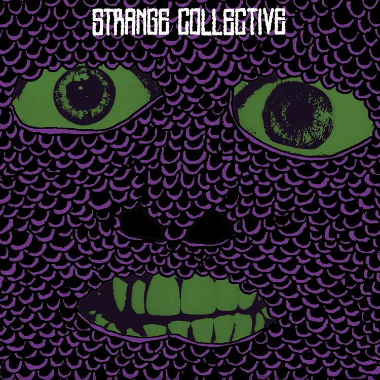 Strange Collective's avatar image