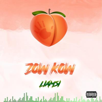 Zow Kow By Liamsi's cover