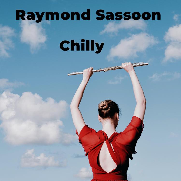 Raymond Sassoon's avatar image