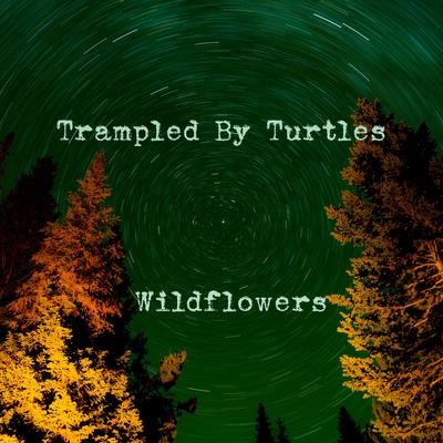 Wildflowers By Trampled by Turtles's cover