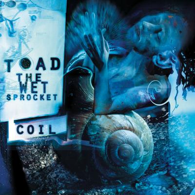 Amnesia By Toad the Wet Sprocket's cover