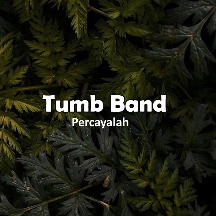 Tumb Band's avatar image